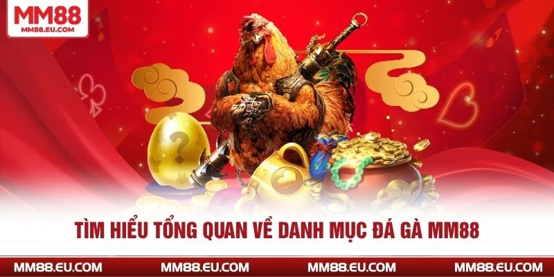ĐÁ GÀ MM88 1 Tìm hiểu tổng quan về danh mục đá gà MM88